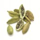 CARDAMOME VERTE GOUSSE POT 25GR