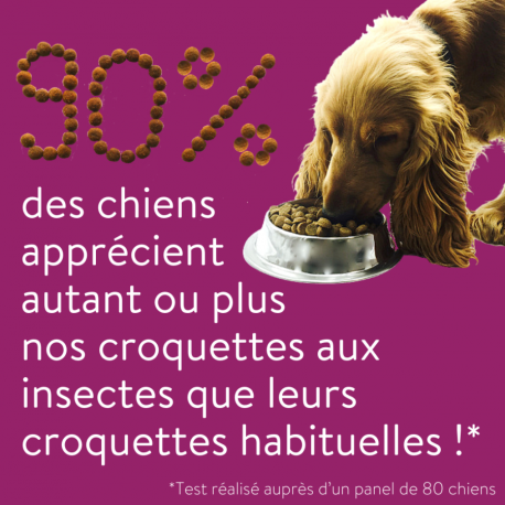 Croquettes durable chien petite race