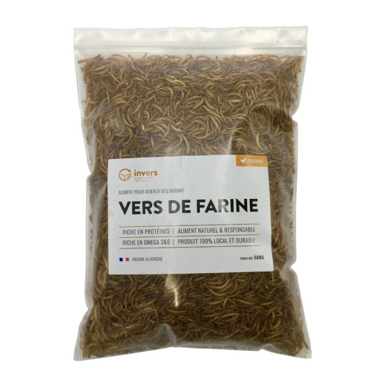 Boîte de vers de farine 100 gr