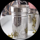 Gourde verre avec infuseur Flowtea