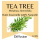 Huile essentielle d’Arbre à Thé (Tea Tree) Zen’Arôme – 10 ml