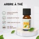 Huile essentielle d’Arbre à Thé (Tea Tree) Zen’Arôme – 10 ml