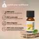 Huile essentielle d’Arbre à Thé (Tea Tree) Zen’Arôme – 10 ml