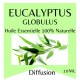 Huile essentielle d’Eucalyptus Zen’Arôme – 10 ml