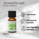 Huile essentielle d’Eucalyptus Zen’Arôme – 10 ml