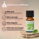 Huile essentielle d’Eucalyptus Zen’Arôme – 10 ml