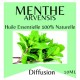 Huile essentielle de Menthe arvensis Zen’Arôme – 10 ml
