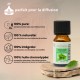 Huile essentielle de Menthe arvensis Zen’Arôme – 10 ml