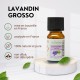 Huile essentielle de Lavandin Grosso Zen’Arôme – 10 ml