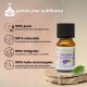 Huile essentielle de Lavandin Grosso Zen’Arôme – 10 ml