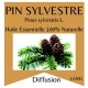 Huile essentielle de Pin sylvestre Zen’Arôme – 10 ml