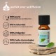 Huile essentielle de Romarin Zen’Arôme – 10 ml