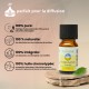 Synergie d’huiles essentielles Énergisante Zen’Arôme – 10 ml