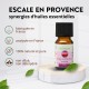 Synergie d’huiles essentielles Escale en Provence Zen’Arôme – 10 ml