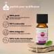 Synergie d’huiles essentielles Escale en Provence Zen’Arôme – 10 ml