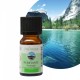 Synergie d’huiles essentielles Purifiante Zen’Arôme – 10 ml