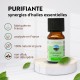 Synergie d’huiles essentielles Purifiante Zen’Arôme – 10 ml
