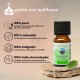 Synergie d’huiles essentielles Purifiante Zen’Arôme – 10 ml