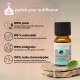 Synergie d’huiles essentielles Relaxante Zen’Arôme – 10 ml