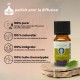 Synergie d’huiles essentielles Douce Nuit Zen’Arôme – 10 ml
