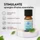 Synergie d’huiles essentielles Stimulante Zen’Arôme – 10 ml