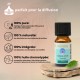 Synergie d’huiles essentielles Stimulante Zen’Arôme – 10 ml