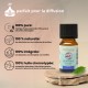 Synergie d’huiles essentielles Zenitude Zen’Arôme – 10 ml