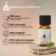 Synergie d’huiles essentielles Méditation Zen’Arôme – 10 ml