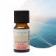 Synergie d’huiles essentielles Revitalisante Zen’Arôme – 10 ml