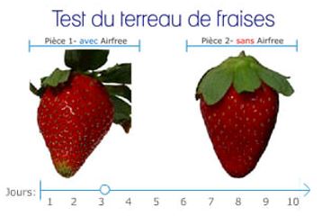 Test de la fraise